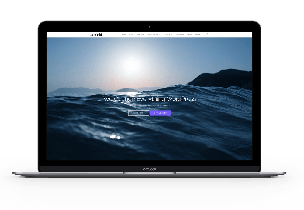 Software For Your Needs